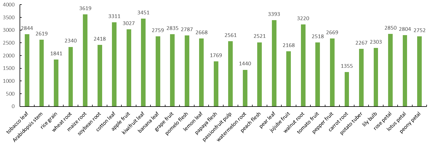 Number of metabolites identified in different plant tissues using MetwareBio widely-targeted metabolomics for plants